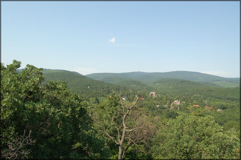 DSC_2772.JPG