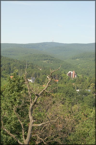 DSC_2773.JPG