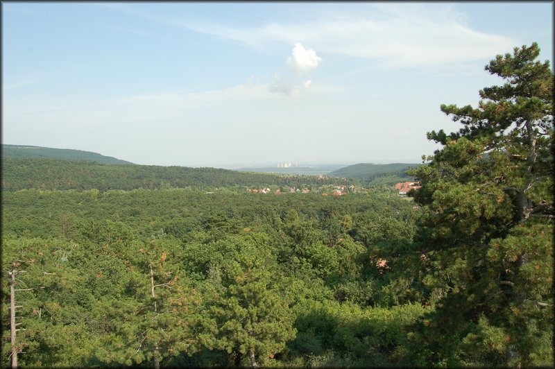 DSC_2774.JPG