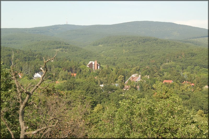 DSC_2775.JPG