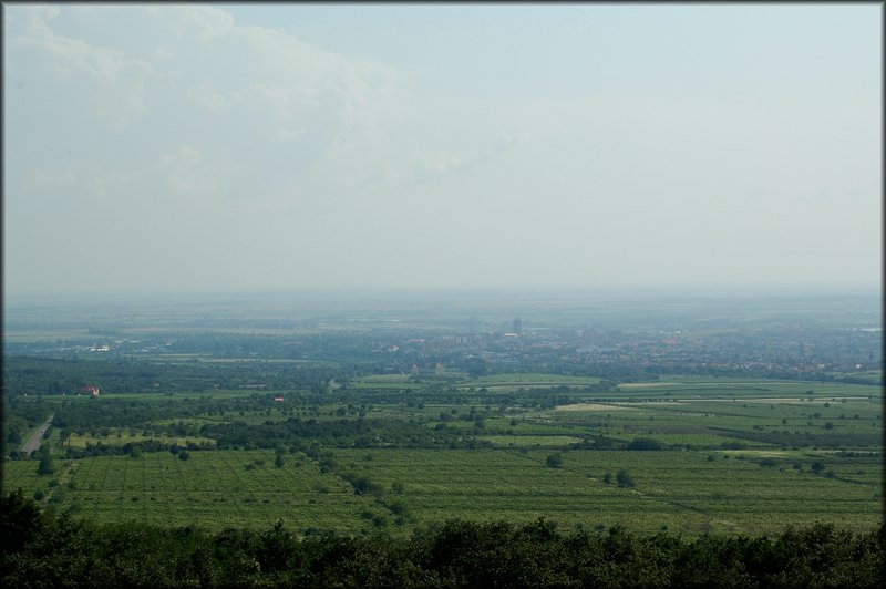 DSC_2778.jpg