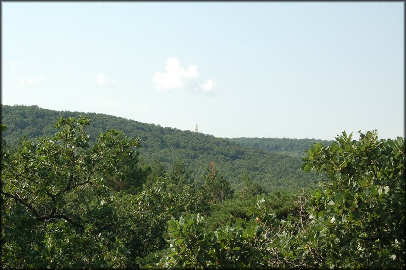 DSC_2779.JPG