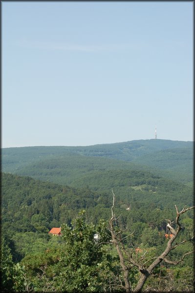 DSC_2780.JPG