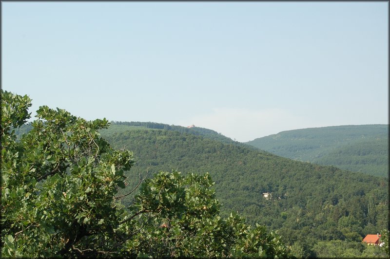 DSC_2781.JPG