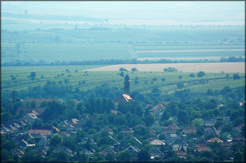 DSC_2782.jpg