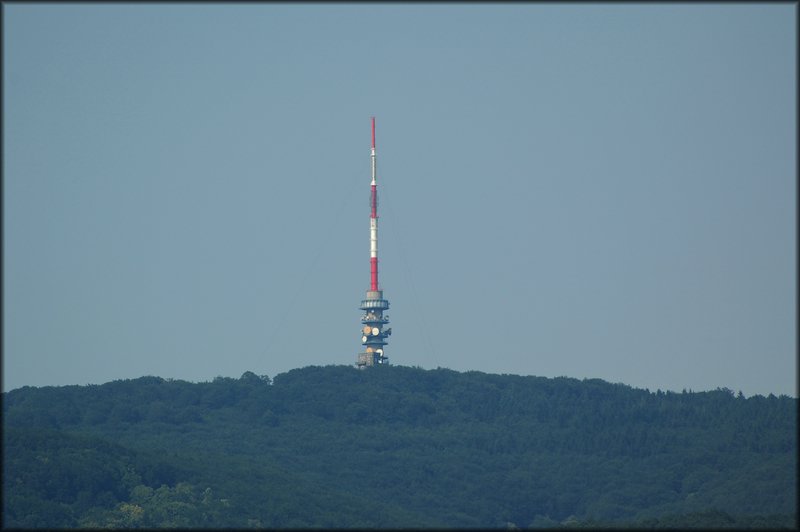 DSC_2786.jpg