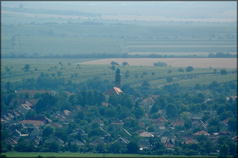 DSC_2792.jpg