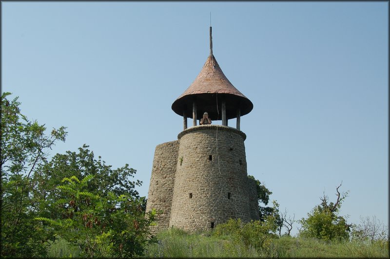 DSC_2805.JPG
