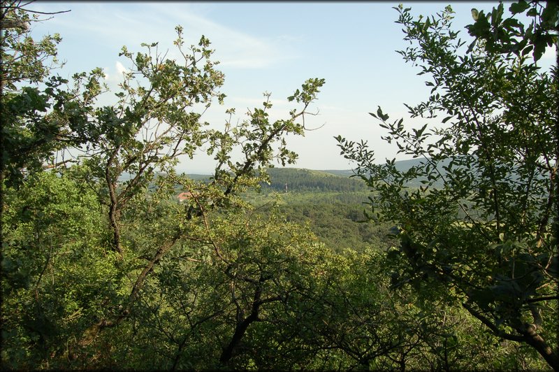 DSC_2816.JPG