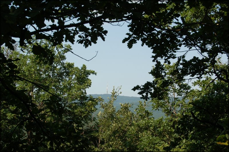 DSC_2820.JPG