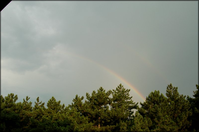 DSC_2833.jpg