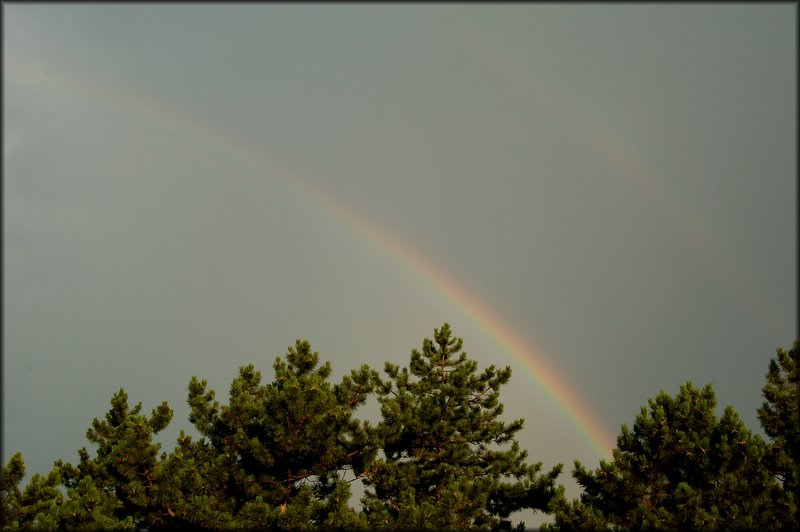DSC_2834.jpg