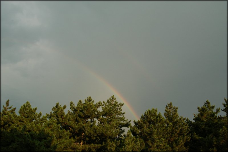 DSC_2835.JPG