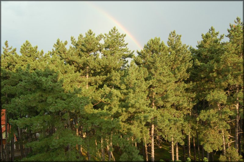 DSC_2836.JPG