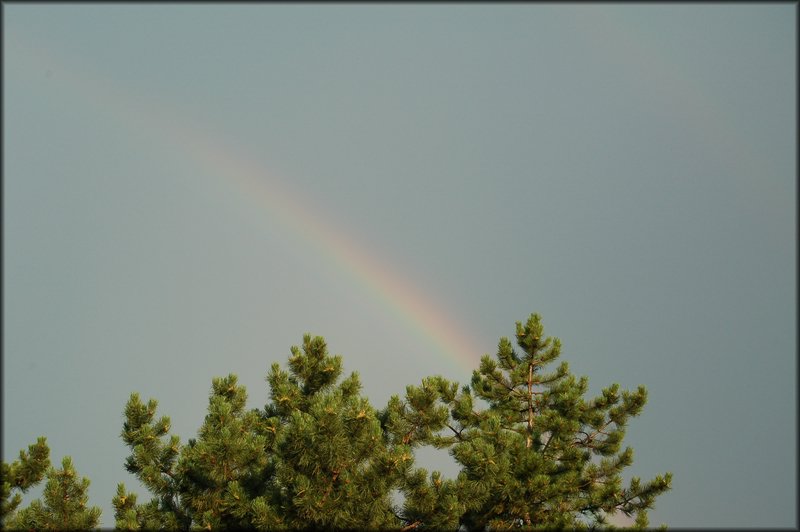 DSC_2838.JPG
