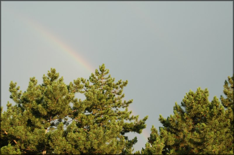 DSC_2839.JPG