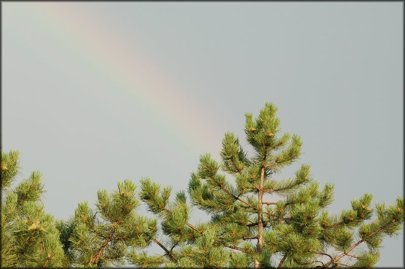 DSC_2840.JPG