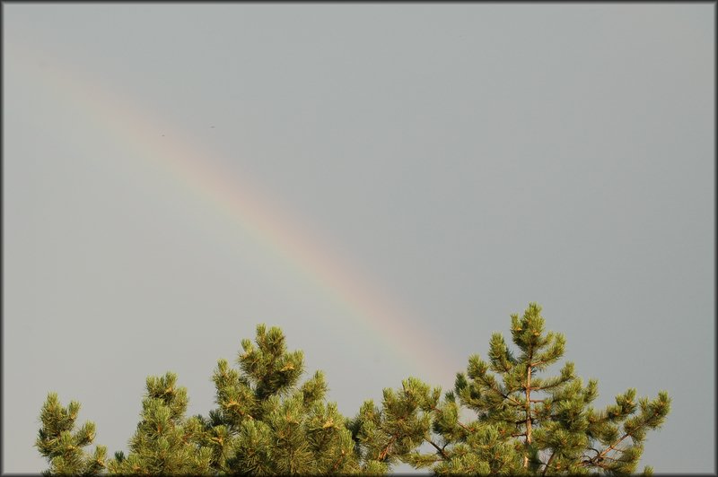 DSC_2842.JPG