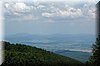 DSC_2502.jpg