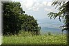 DSC_2511.JPG