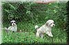 DSC_2566.JPG