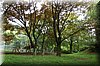 DSC_2571.JPG