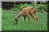 DSC_2585.JPG