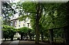 DSC_2593.JPG