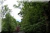 DSC_2599.JPG