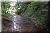 DSC_2648.JPG