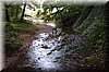 DSC_2651.jpg