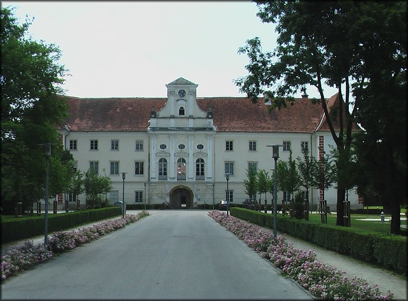 IMGA0463.JPG