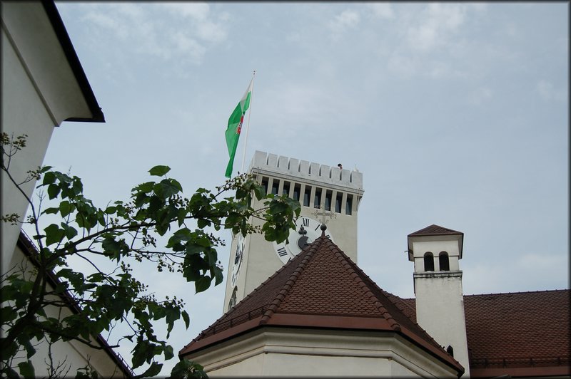 DSC_5163.JPG